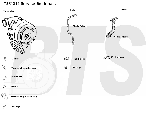 Compresor,sistem de supraalimentare T981512 BTS Turbo